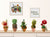 Needle Felting Cactus Kit (min. order qty 3 required)