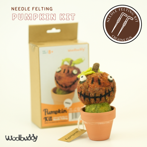 Needle Felting Pumpkin Kit