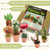 Needle Felting Cactus Kit (min. order qty 3 required)