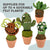 DIY Cactus Needle Felting Kit | Beginner Wool Craft Succulent Project (min. order qty 3 required)