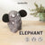 DIY Elephant Needle Felting Kit | Safari Wildlife Craft Gift (min. order qty 6 required)