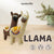 Llama Needle Felting Kit | Beginner DIY Wool Fiber Craft Project | Woolbuddy