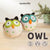 DIY Owl Bird Needle Felting Kit | Woodland Animal Craft Gift(min. order qty 6 required)