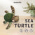 DIY Sea Turtle Needle Felting Kit | Ocean Marine Life Craft Gift (min. order qty 6 required)