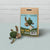DIY Sea Turtle Needle Felting Kit | Ocean Marine Life Craft Gift (min. order qty 6 required)