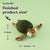 DIY Sea Turtle Needle Felting Kit | Ocean Marine Life Craft Gift (min. order qty 6 required)