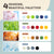 Four Season Wool Roving Color Pack – Fiber for Felting & Crafts (min. qty order 4)