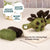 Needle Felting Dinosaur Kit – DIY Wool Prehistoric Animal Craft for Beginners (min order qty 3 required)