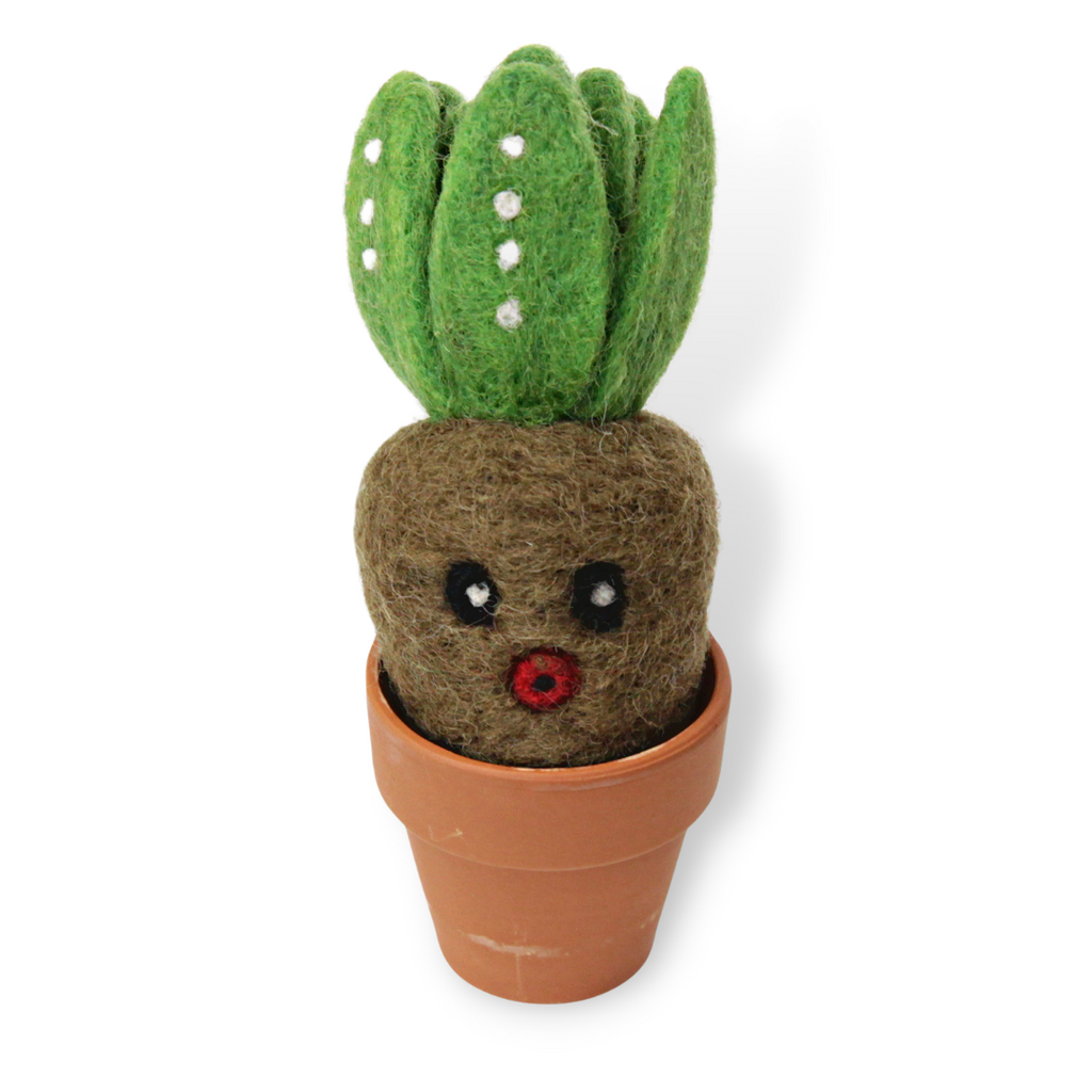 succulent sprout Cute Sprout Plant Ornament | Seedling Succulent Decor & Gift (min. ord