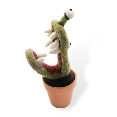 Flytrap (min. order qty 3 required)
